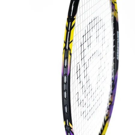 Ракетка бадм. TORRES Carbon PRO6, BD20521,для продв., стерж/обод из карбона,со струнами, фиол за 4&nbsp;477.80 ₽ купить в Смоленске