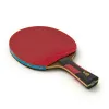 Ракетка для н/т DOUBLE FISH 7A+C, для професс.,ITTF Appr.,накл.2,1мм,+ 2 мяча V40+мм ITTF Appr за 3&nbsp;559.80 ₽ купить в Смоленске