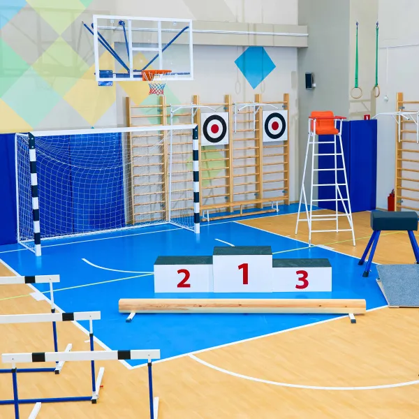 Щит для метания навесной на шведскую стенку (фанера) 700х700 ZAVODSPORTA за 8&nbsp;960 ₽ в Смоленске