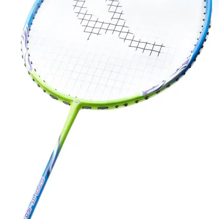Ракетка для бадм. DOUBLE FISH JINQUE QT-1601, для продвинутых,карбон со струнами,литая,голубой за 3&nbsp;015.80 ₽ купить в Смоленске
