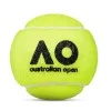 Мяч теннисный Dunlop Australian Open, 601601, уп..3 шт, одобр.ITF,фетр,нат.резина, желтый за 1&nbsp;171.30 ₽ купить в Смоленске