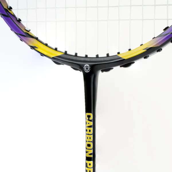 Ракетка бадм. TORRES Carbon PRO6, BD20521,для продв., стерж/обод из карбона,со струнами, фиол за 4&nbsp;477.80 ₽ в Смоленске