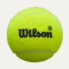 Мяч для падела Wilson Premier Padel Speed, WR8908501001, уп.3 шт, FIP Appr.,сукно, нат.резина,желтый за 1&nbsp;235.90 ₽ купить в Смоленске