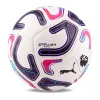 Мяч футб. PUMA Stellar Goal PL Reactivity, 08519301, р.5, 16п, ТПУ, маш. сш, бело-фиолетово-розовый за 6&nbsp;291.70 ₽ купить в Смоленске